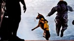 Interview with Graham Bloem to help understand Military working dogs and their part in the Bin Laden Raid