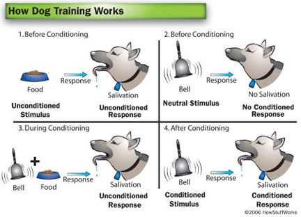 classical-conditioning