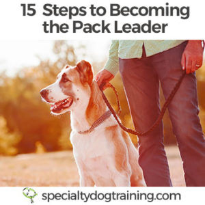 Become the Pack Leader with SDT