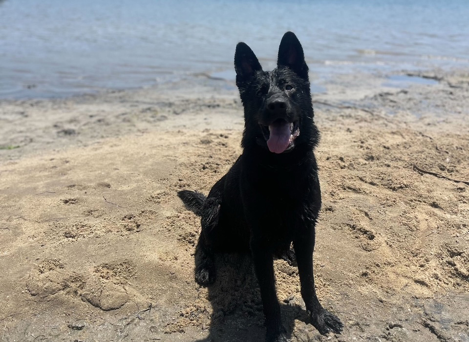 SDT - Blog - October 2025 - High Value Properties - Featured v2