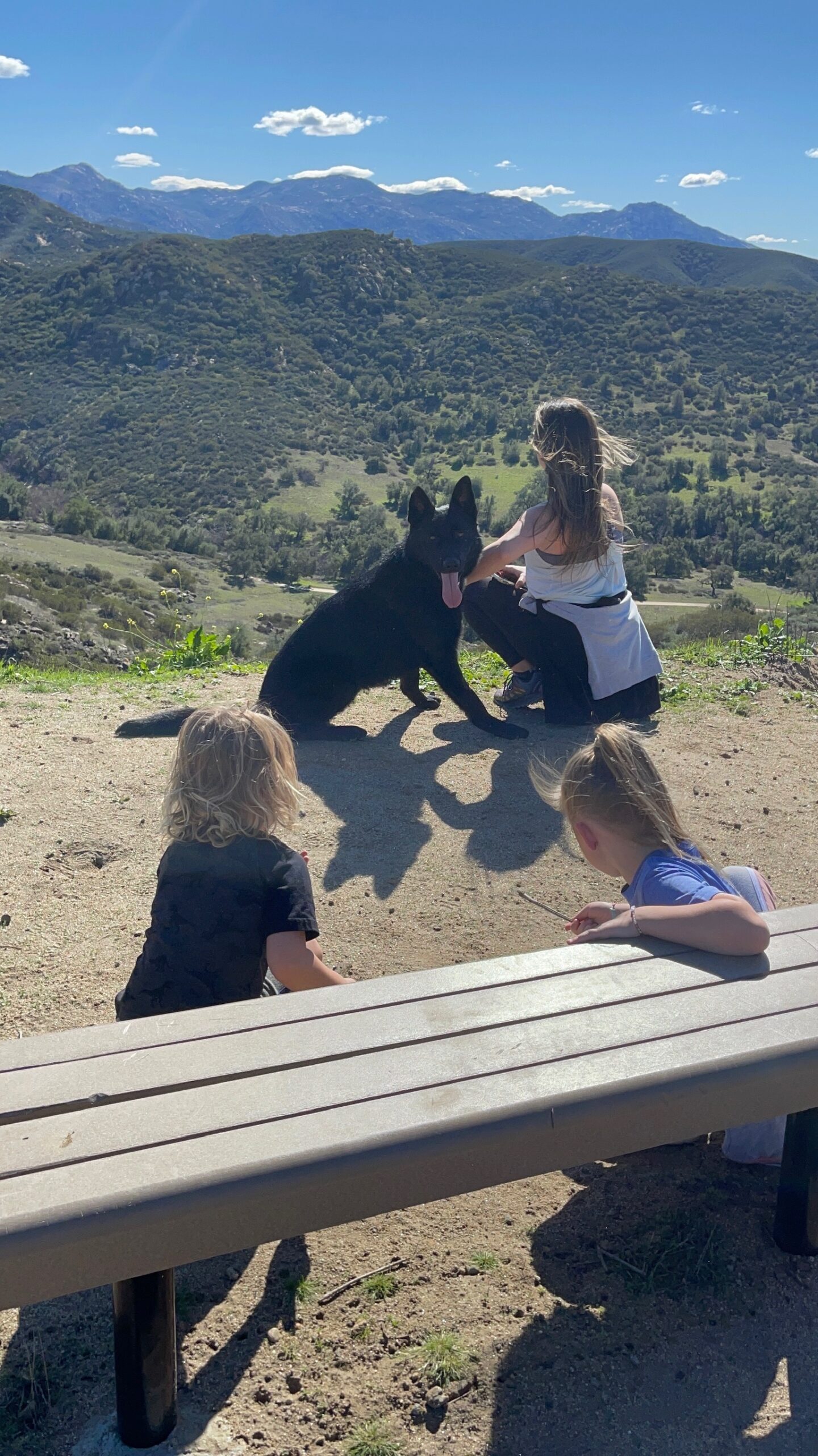an all black protection dog sitting outside with a mom and 2 kids on a bench