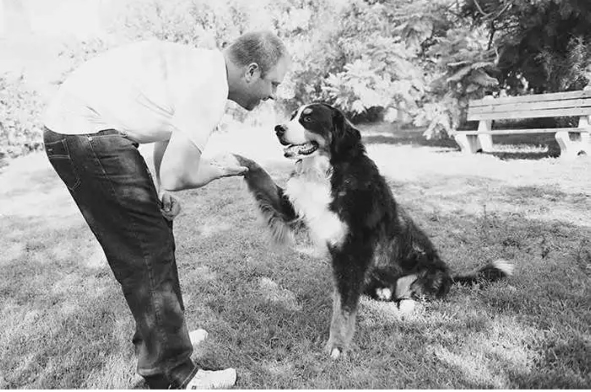 Trainer teaching trained dog commands