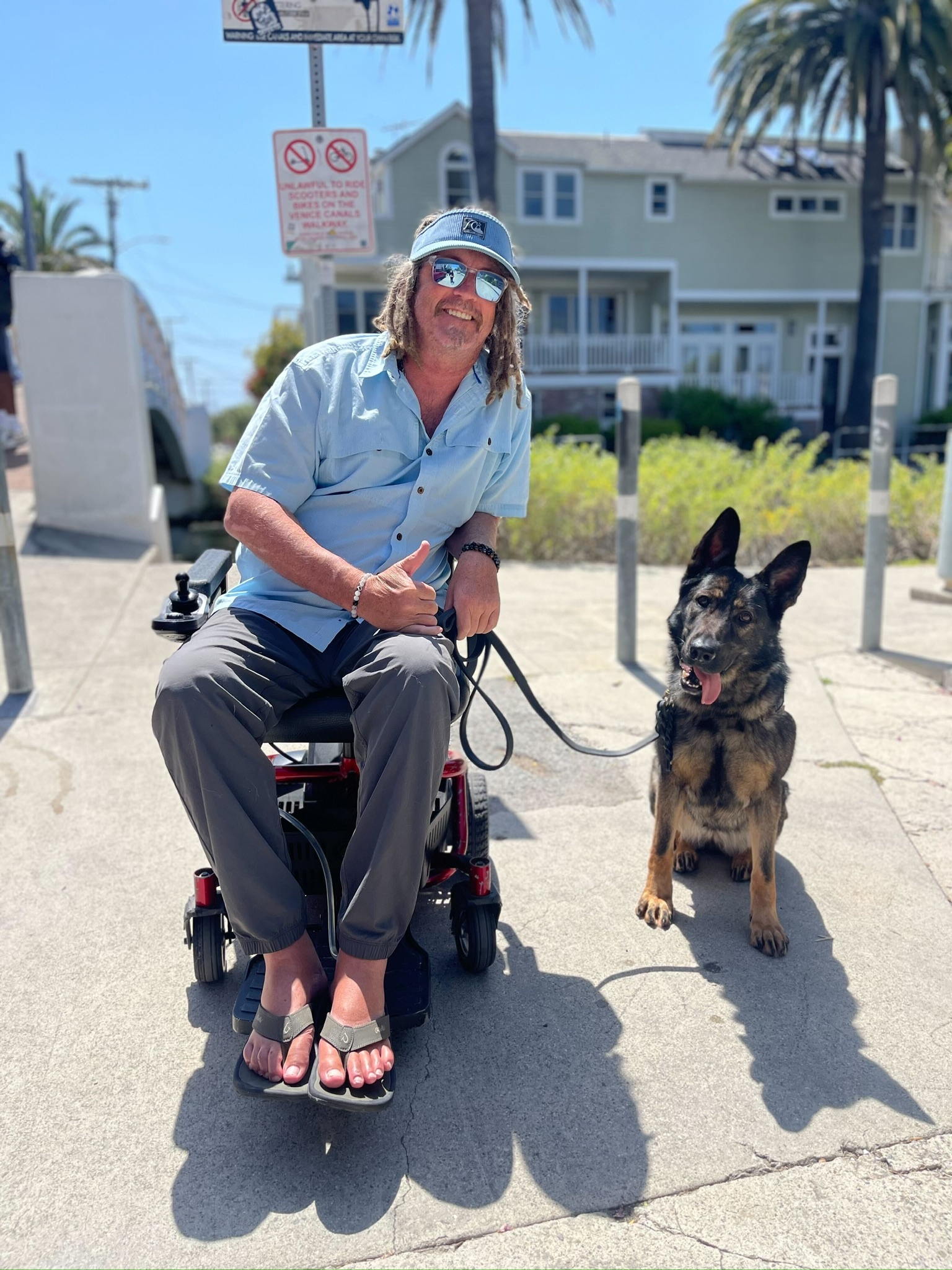 Service dog next to their owner sitting in a wheelchair