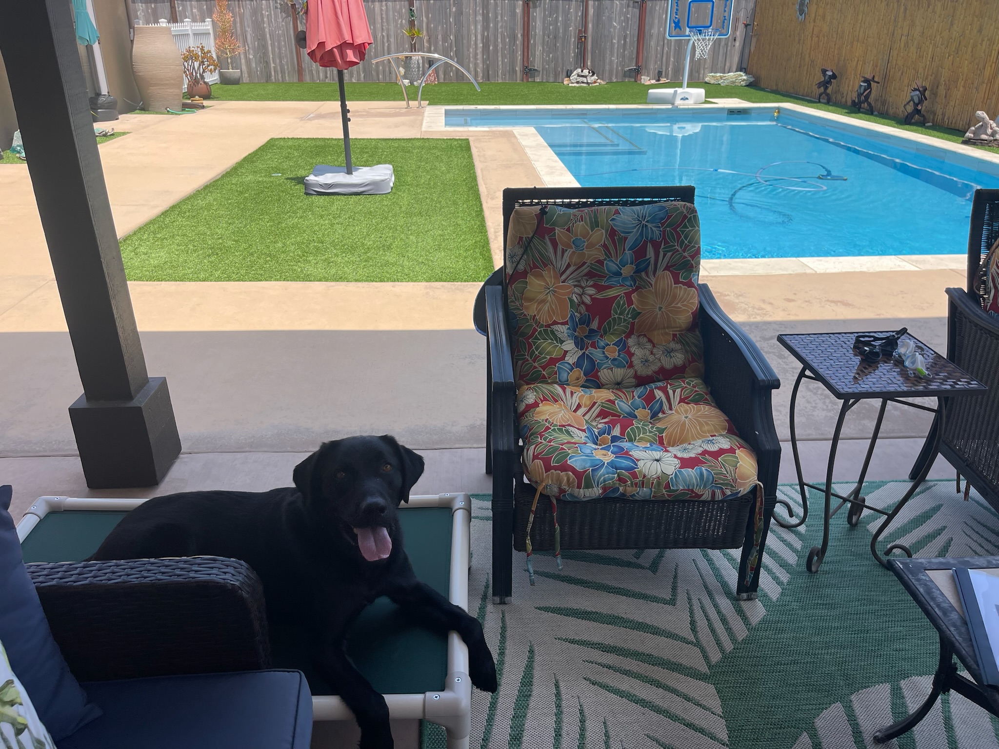 Service dog relaxing outside near a pool